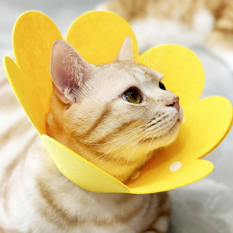Мягкий воротник-подушка для кошек Lesko DT-1063 Flower XL Yellow 12488-76174