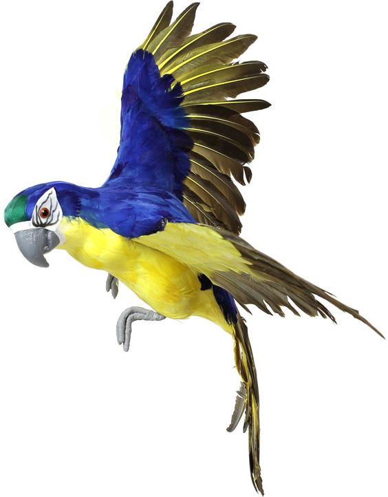 Муляж декоративный Попугай Yellow-Blue 70см Bona DP118125