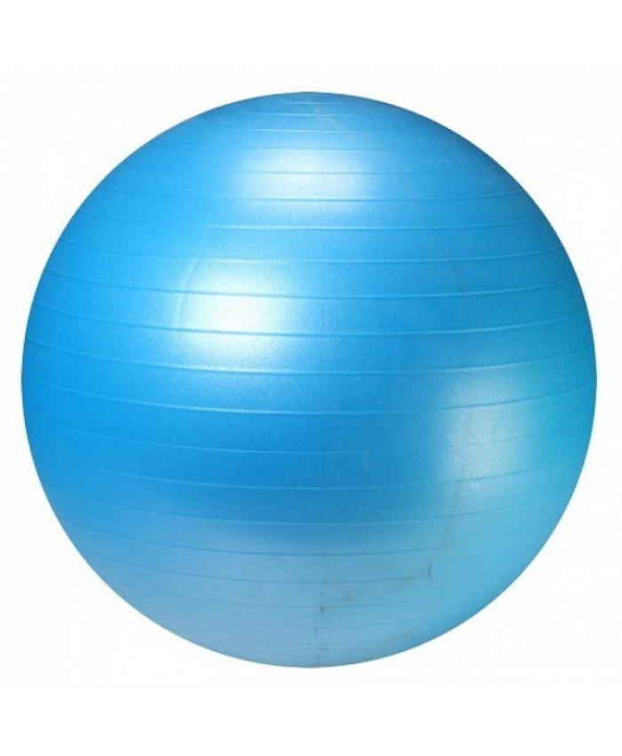 Мяч для фитнеса Profit ball 55 см 700 г Синий (bi7106hh)