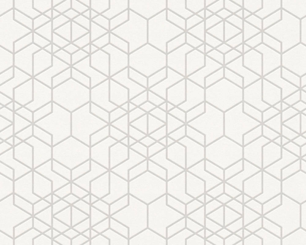 Вінілові шпалери на флізеліновій основі A.S.creation Bjorn Сіро-білий (34869-1)