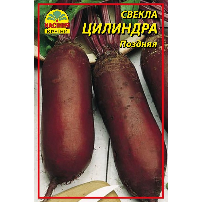 Семена свеклы Насіння країни Цилиндра 3 г  (1137297758)