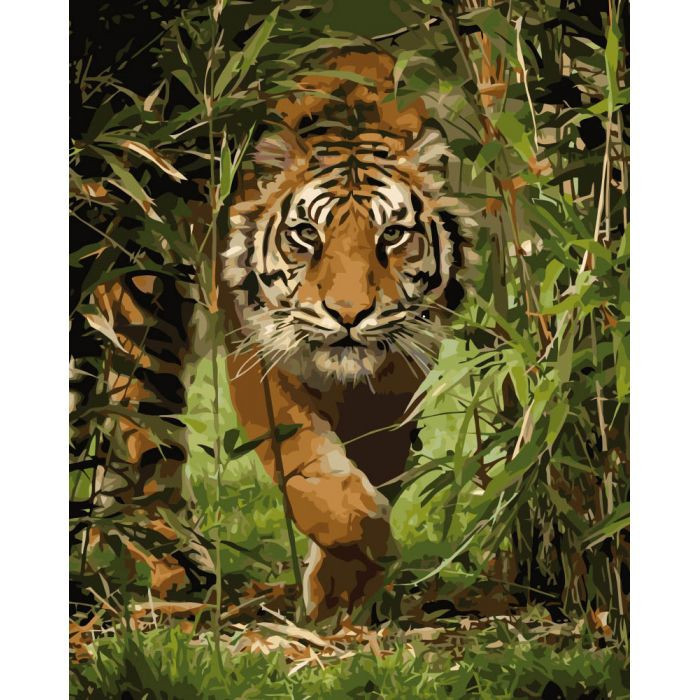 Картина по номерам Идейка "Король джунглей" 40х50см KHO4043