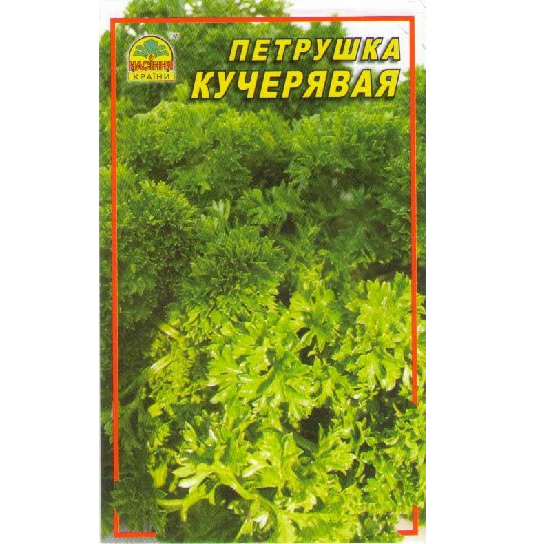 Насіння Петрушки Насіння країни Кучерява 10 г