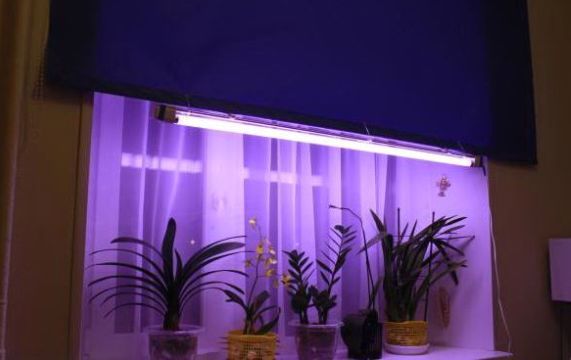 Лампа для растений линейная Brille Стекло 18W Бесцветный L137-007