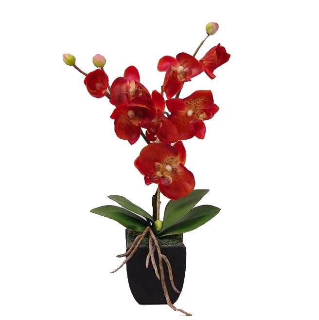 Декорація фаленопсис Flora 35 см Червоний / Зелений (7451)