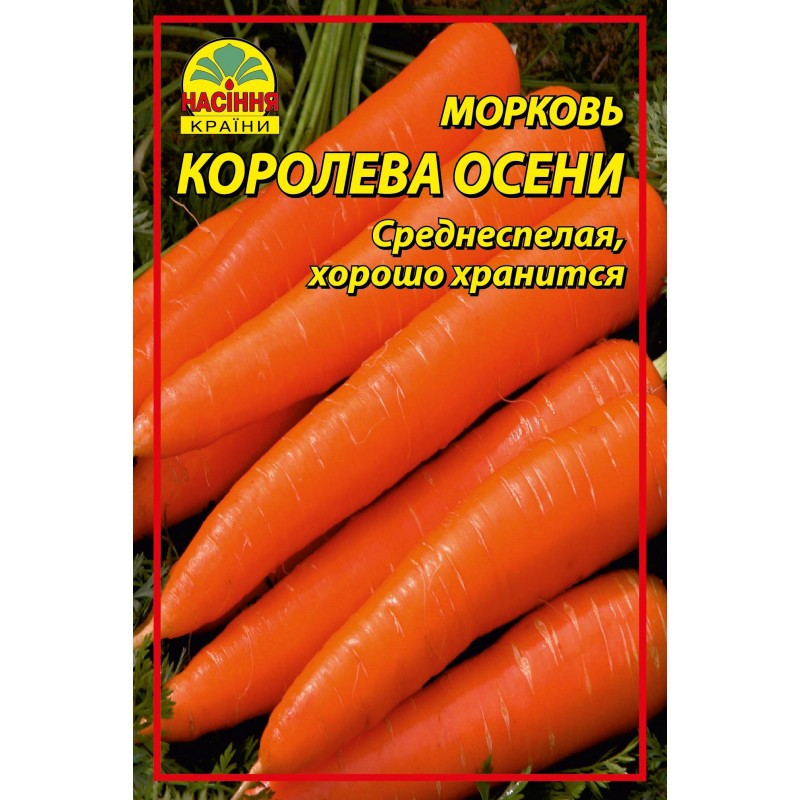 Насіння моркви Насіння країни Королева осені 0,5 кг