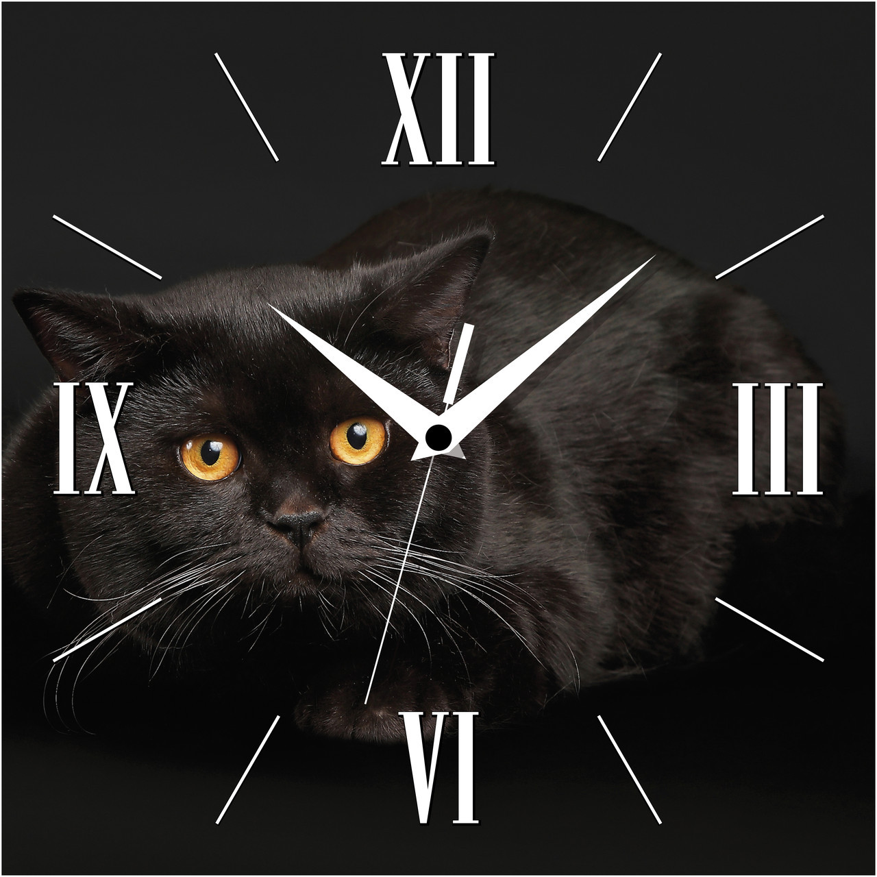 Настінний годинник Чорний кіт (110-1083248)