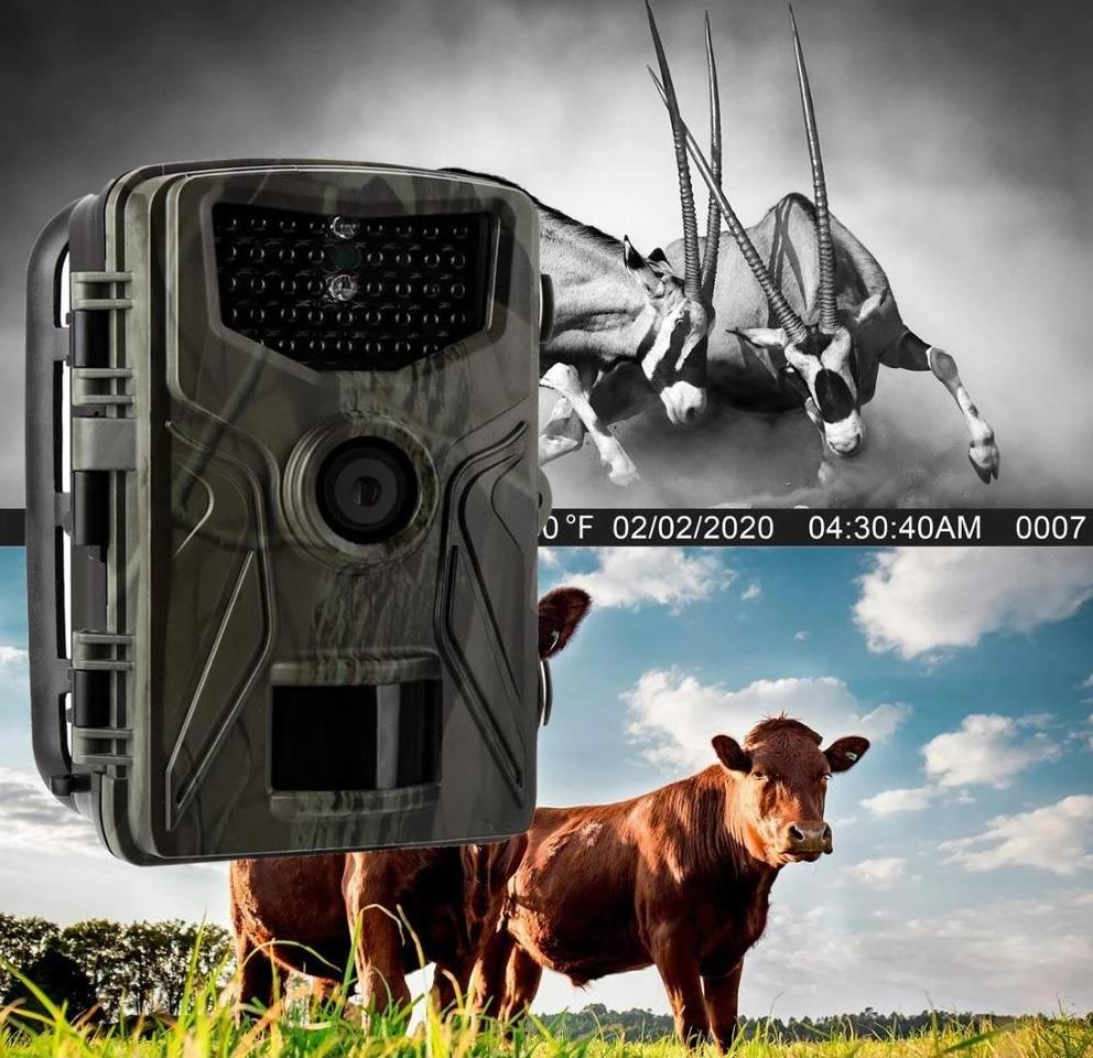 Фотоловушка Suntek HC-804A Full HD 1080P 120° 16MP IP66 (53601)