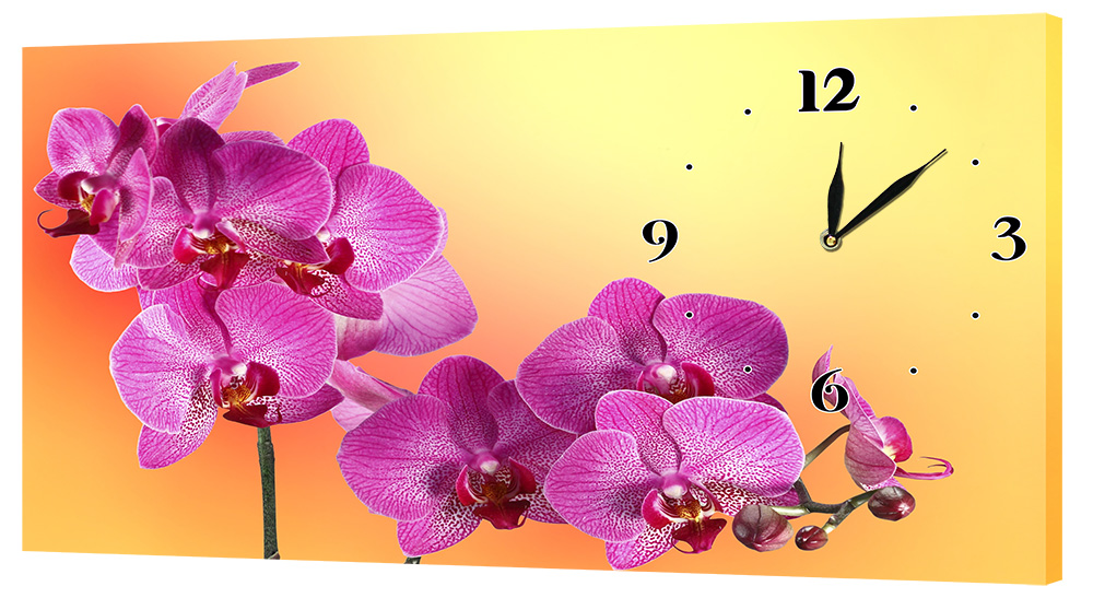 Настінний годинник Декор Карпати 24х44 Орхідеї (24х44-c23)