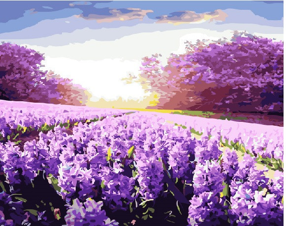 Картина за номерами BrushMe "Лаванда під Сонцем" 40х50см GX21767