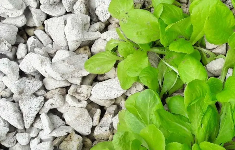 Субстрат універсальний для орхідей Піноскло GrowPlant 10-20 мм 10 л