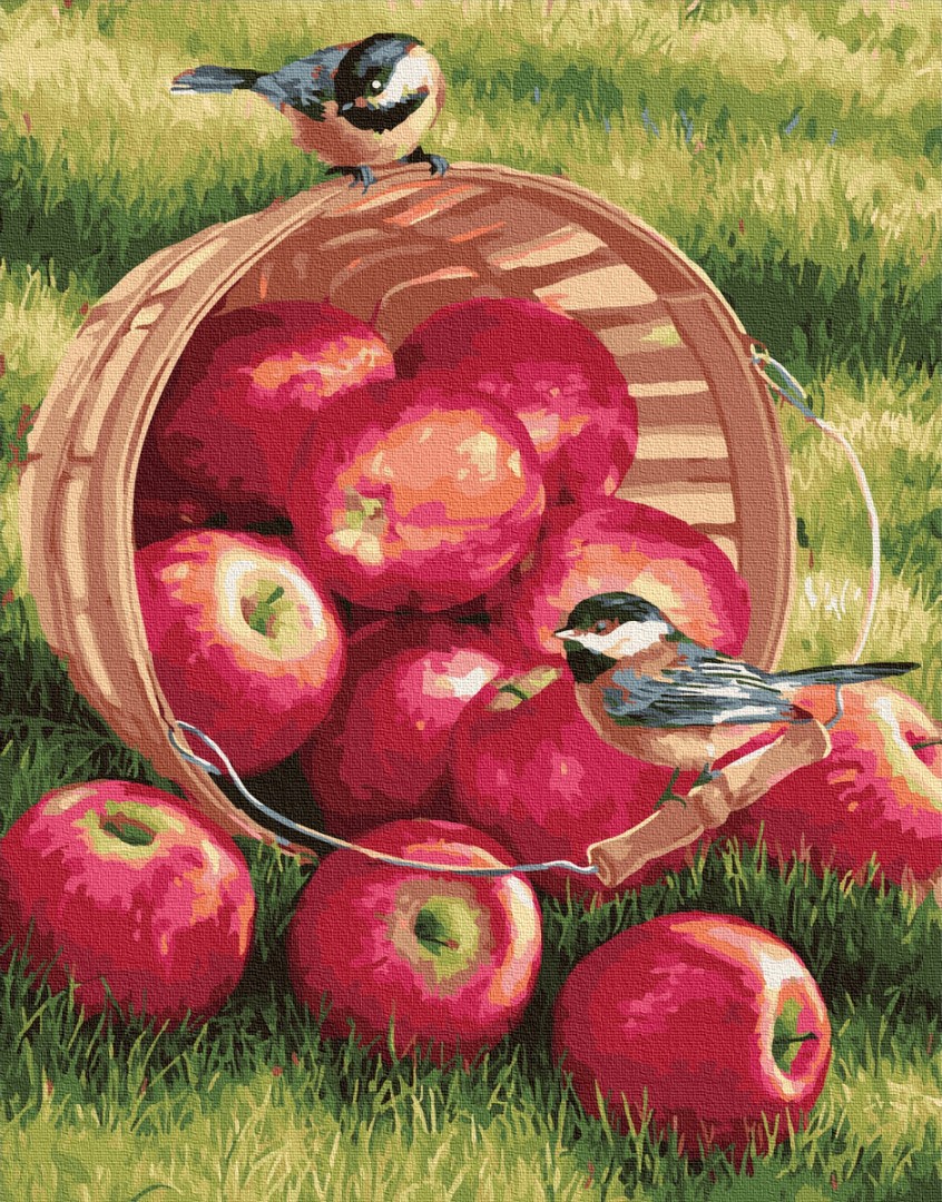 Картина за номерами BrushMe "Яблука для пташок" 40х50 см GX32292