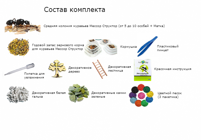 Мурашина Ферма Стандарт Морська Хвиля комплект для новачка Mine Блакитний (hub_4e55wv)