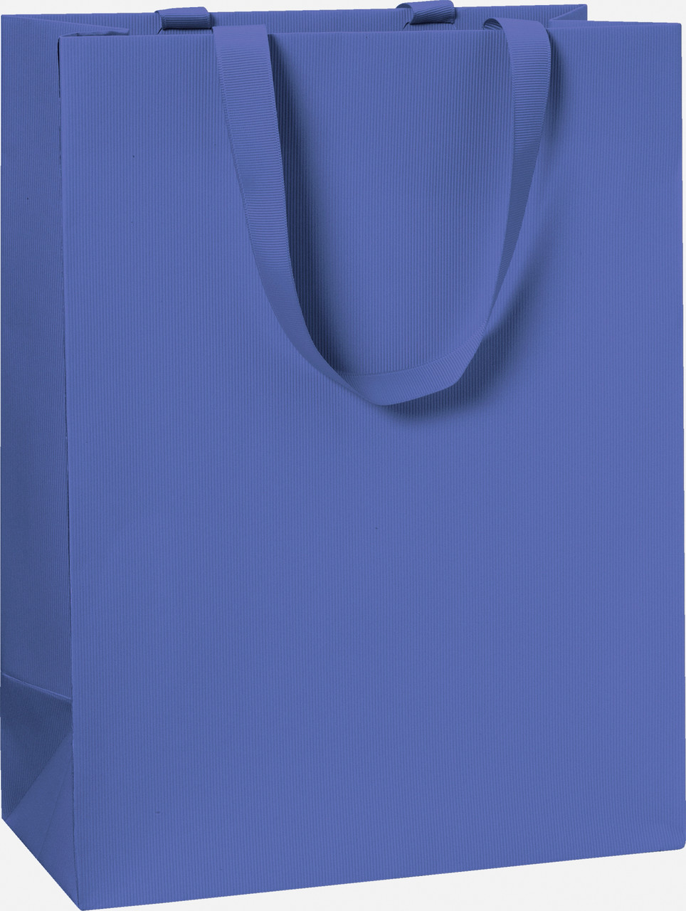Пакет подарунковий Stewo 25 х 13 х 33 cm темно-синій 10 шт