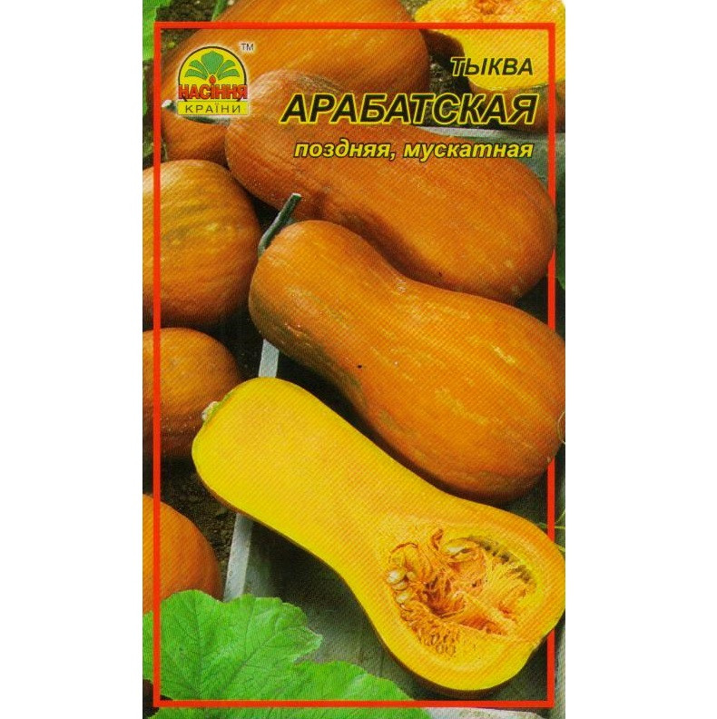 Насіння гарбуза Насіння країни Арабатська 2 г (1137298713)
