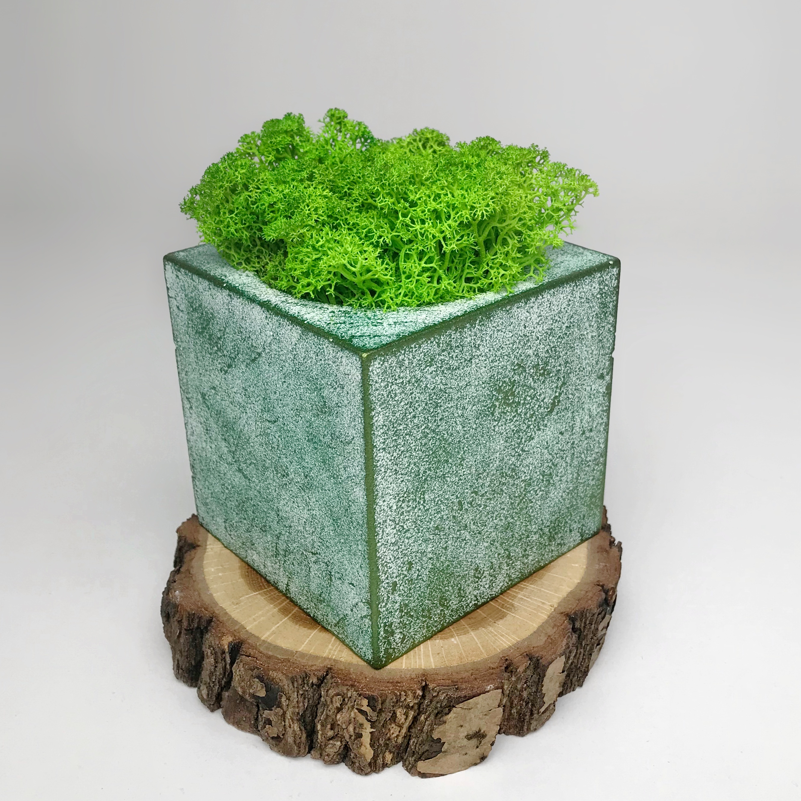 Гіпсове кашпо з стабілізованим мохом KoTs Куб 15 см Білий/зелений