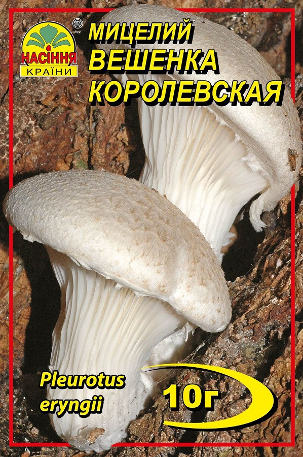 Міцелій грибів Насіння країни Глива королівська 10 г
