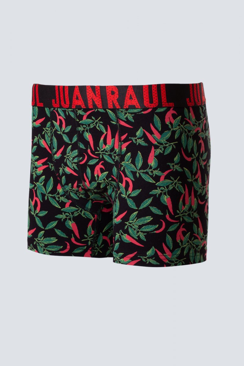 Трусы Trend Collection JUAN RAUL JR95 Разноцветный 2XL (80367)
