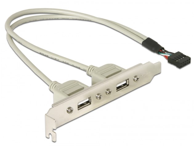 Планка корпусна Delock USB2.0 Ax2-PinHeader 0.30m Slot Bracket Сірий (70.07.1000)