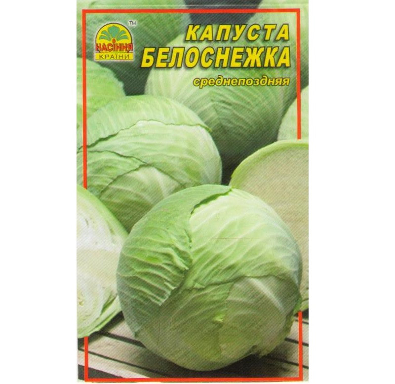 Семена капусты Насіння країни Белоснежка 1 г (1137297630)