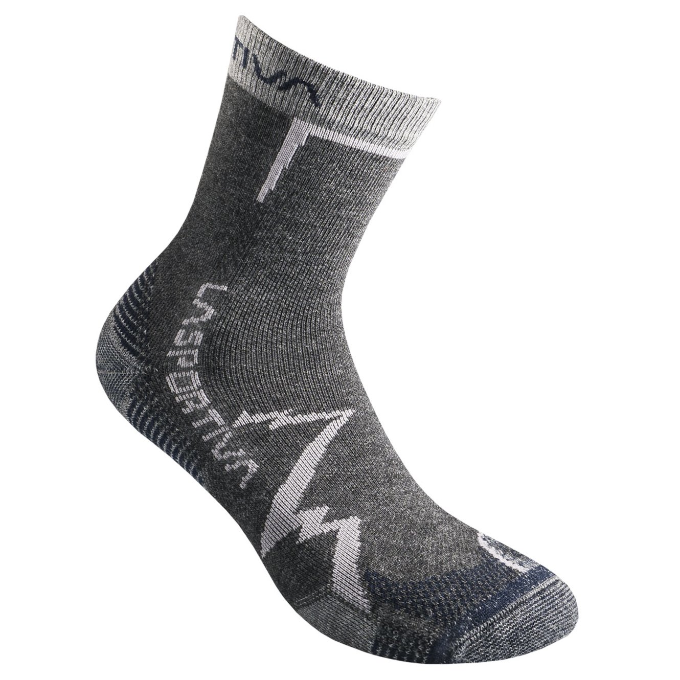 Шкарпетки La Sportiva Mountain Socks M Сірий (1052-29P900618 M)