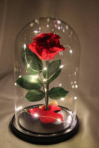 Роза в колбе под стеклянным куполом яркая красная с LED подсветкой Rose of Love 16 см Red+Кулон I love you