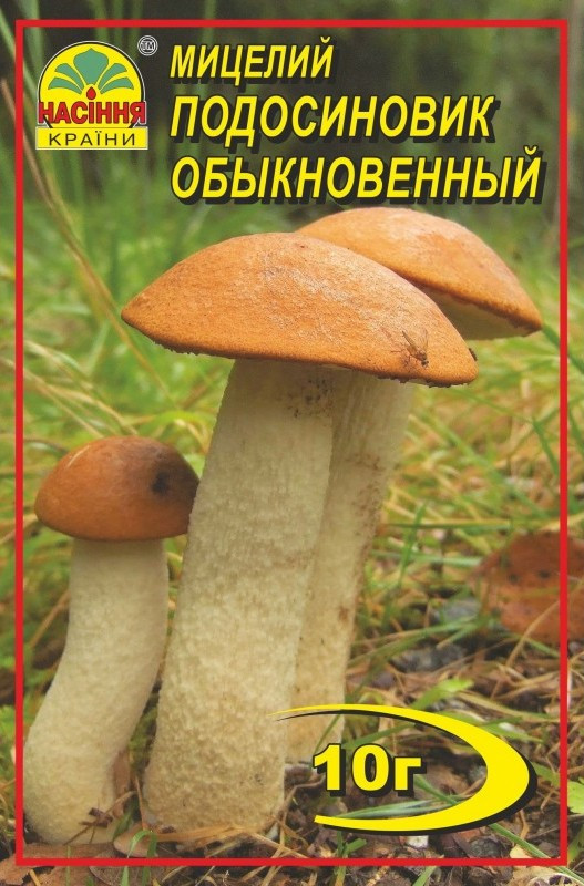 Міцелій грибів Насіння країни Підосичник 10 г