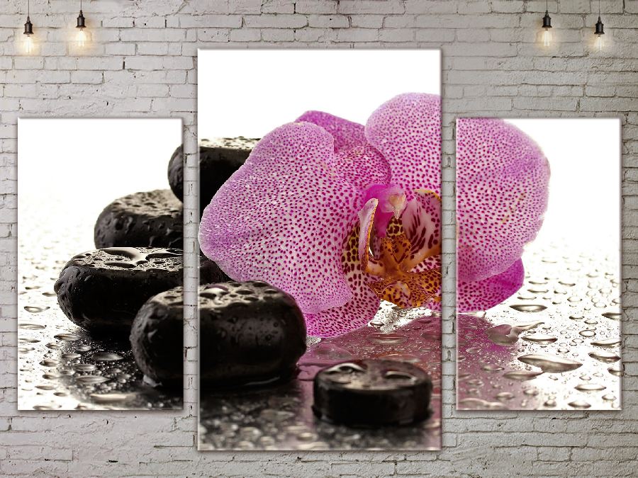 Модульная картина ArtStar цветы Орхидея ADFL0085 размер 120 х 180 см