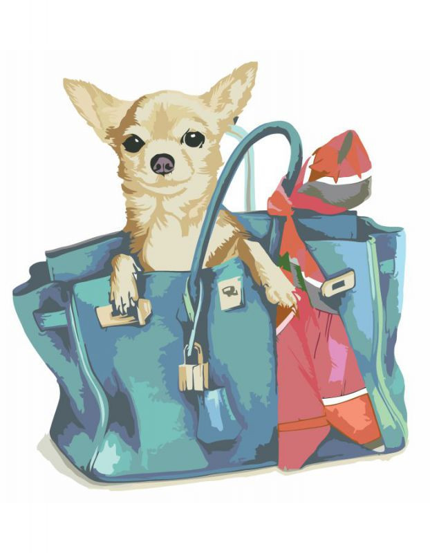 Картина за номерами Rosa Start в упаковці "Собачка в жіночій сумочці" 35х45см N00013224