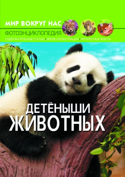 Зображення товару