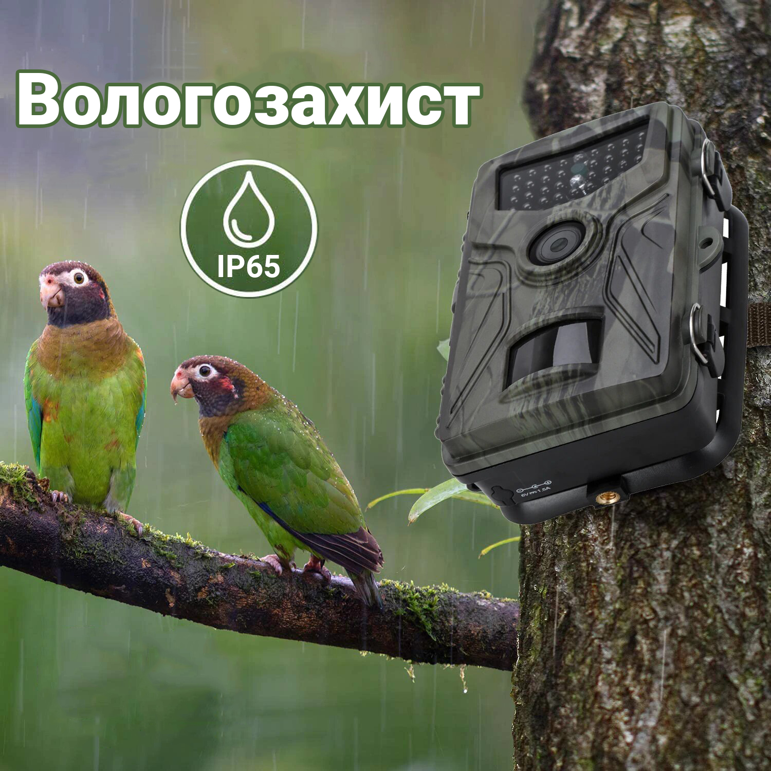 Зображення товару
