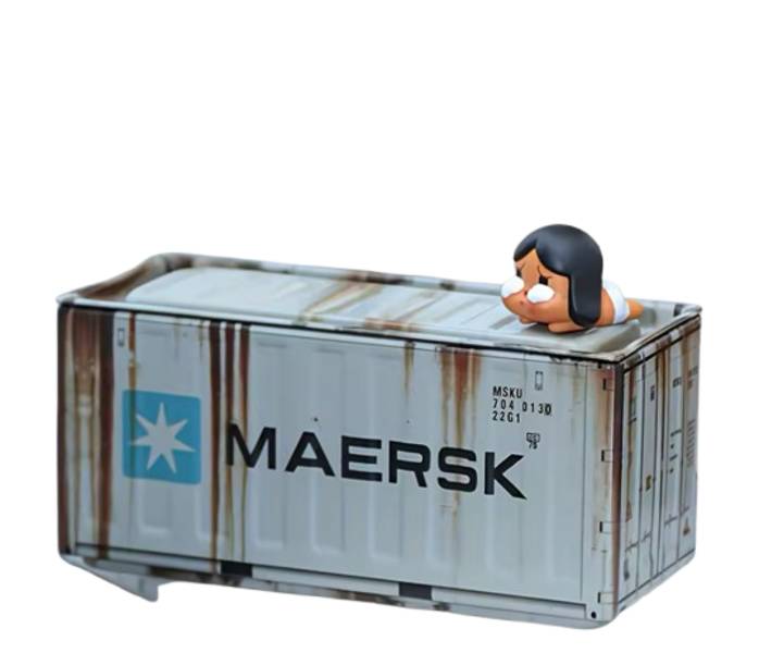 Органайзер-контейнер Standart NPK Maersk 1 шт 11.6 × 5.4 × 5.1 см