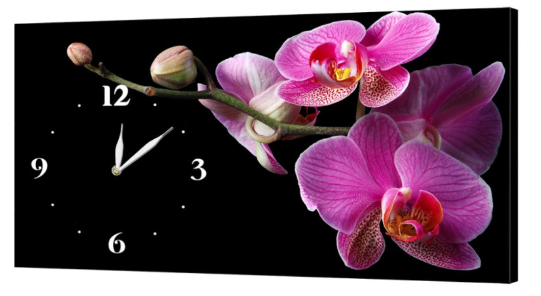 Настенные часы ProfART на холсте 30 x 53 см Орхидеи (02_S)