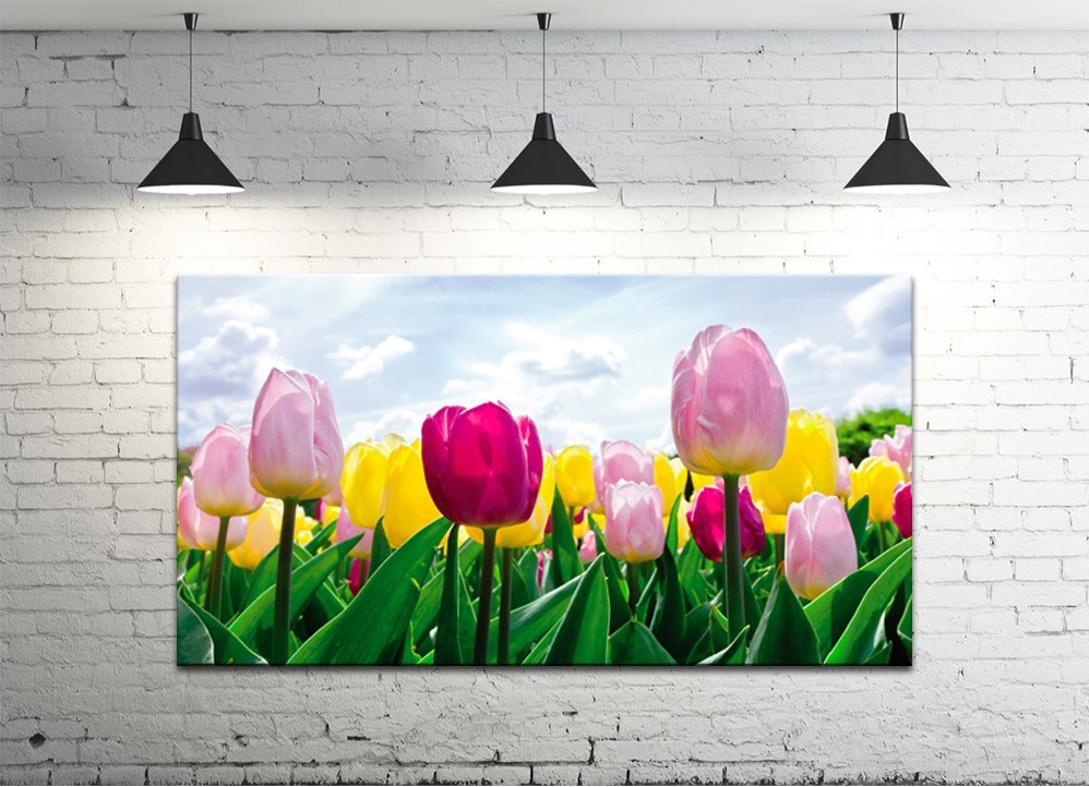 Картина на полотні ProfART S50100-c1189 100 x 50 см Тюльпани (hub_OQRl77265)