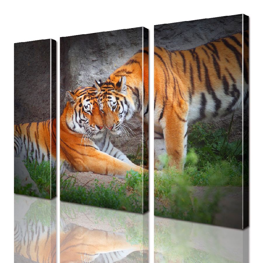 Модульная картина Тигры ADJ0097 размер 150 х 180 см