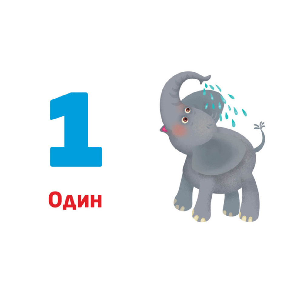 Многокразовые прописи "Цифры и числа" Кенгуру 1155003 31 карточка