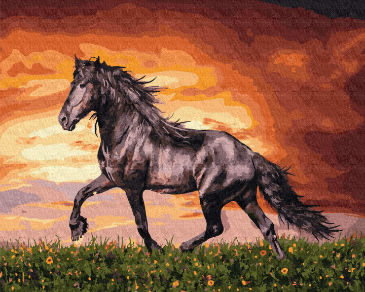 Картина за номерами Rainbow Art "Чорний кінь" 40х50 см GX34880-RA