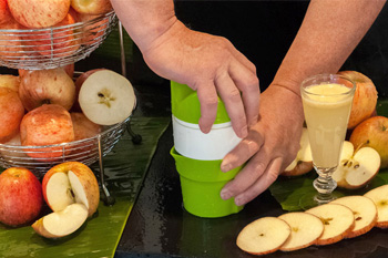 Соковыжималка ручная Shakin Juicer (226293)