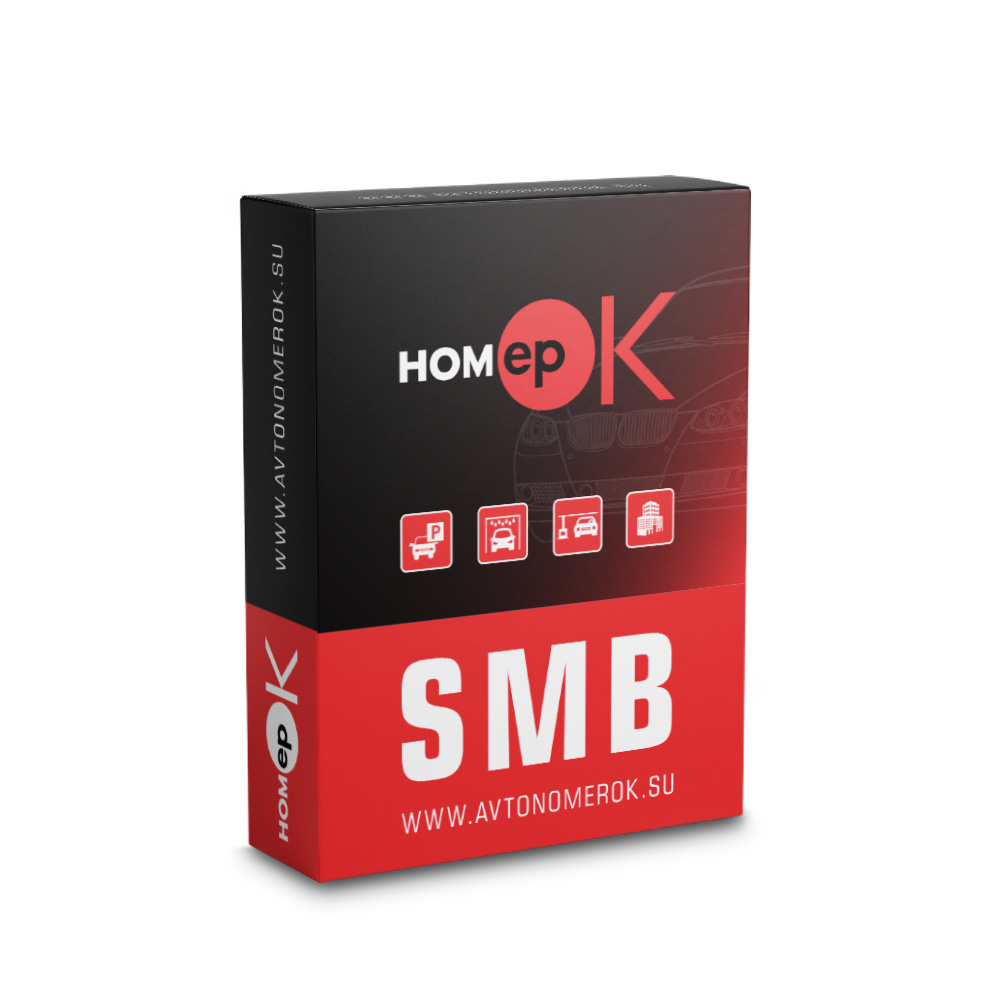 ПЗ для розпізнавання автономерів HOMEPOK SMB 2 каналу для керування СКУД