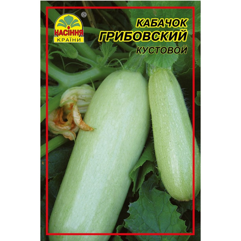 Насіння кабачка Насіння Країни Грибовський 10 г