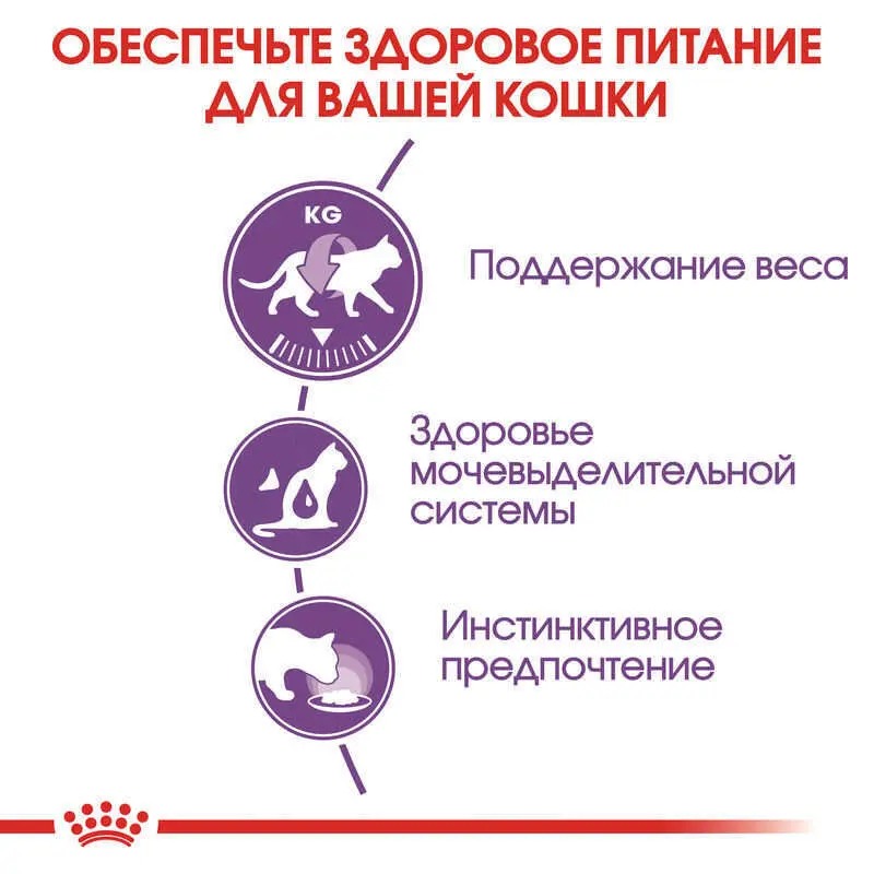 Влажный корм для взрослых стерилизованных кошек Royal Canin Sterilised in Jelly 12 шт 85 г (hub_f54nre)