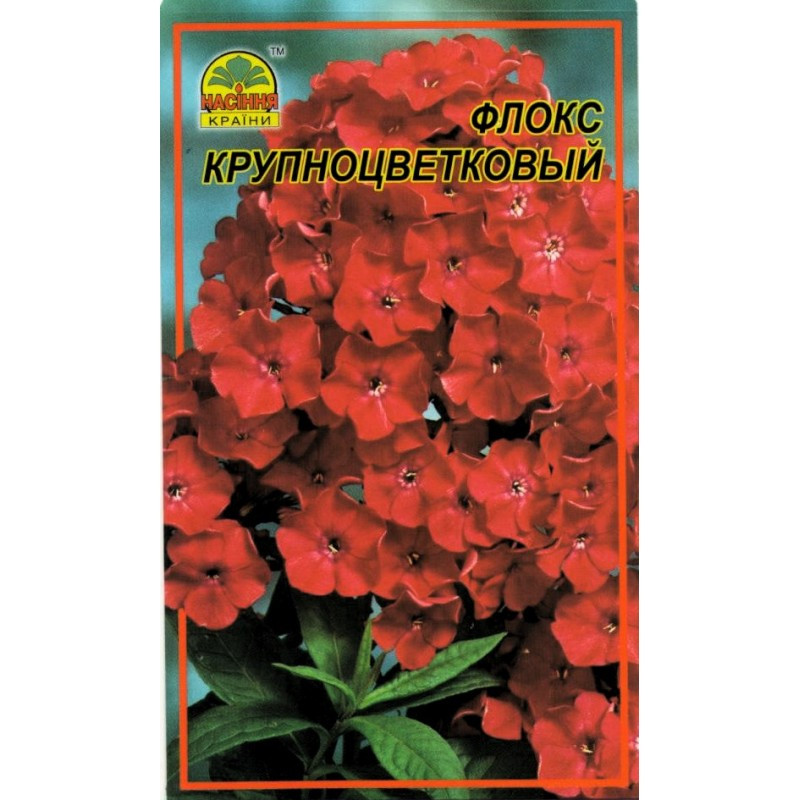 Насіння Флокс Насіння країни Крупноквітковий 30 шт (1137298799)