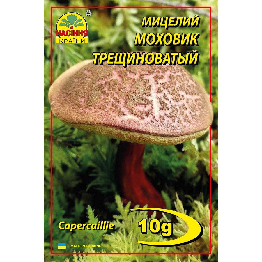 Міцелій грибів Насіння країни Моховик тріщинуватий строкатий 10 г