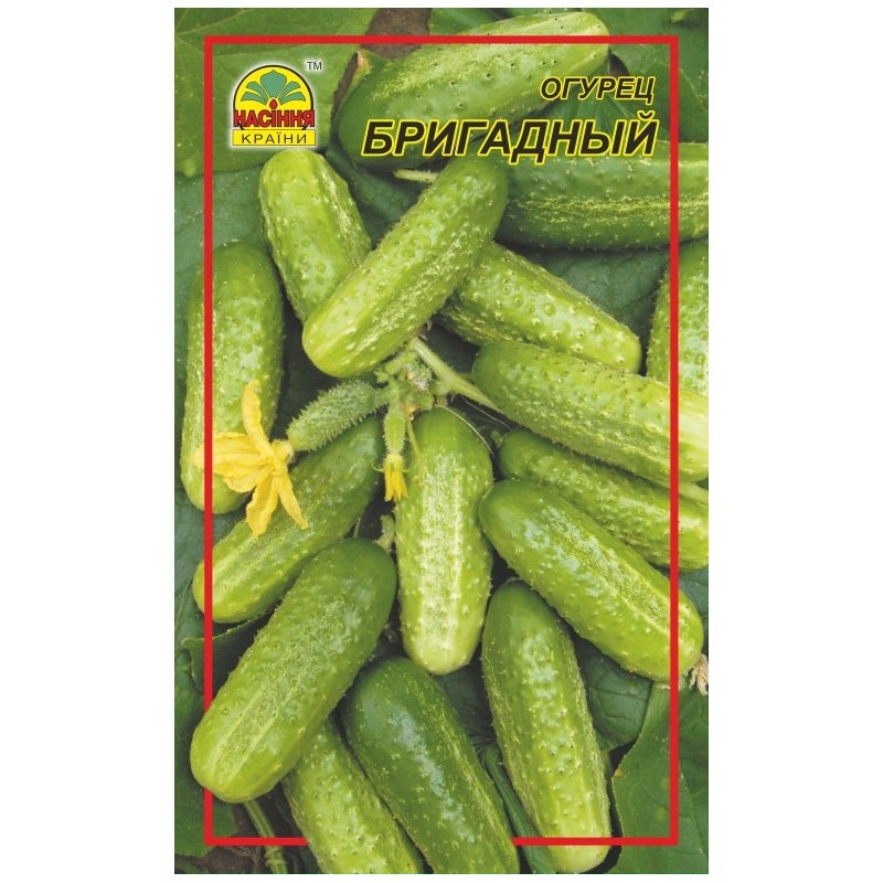 Насіння огірка Насіння країни Бригадний 5 г