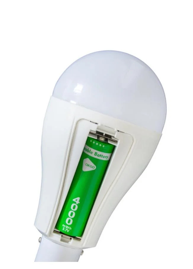 Аккумуляторная лампочка OKGO FA-3820 20W P920