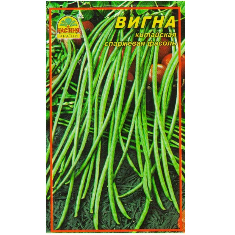 Китайская спаржева фасоль Вигна Насіння країни 1 г (1137298718)