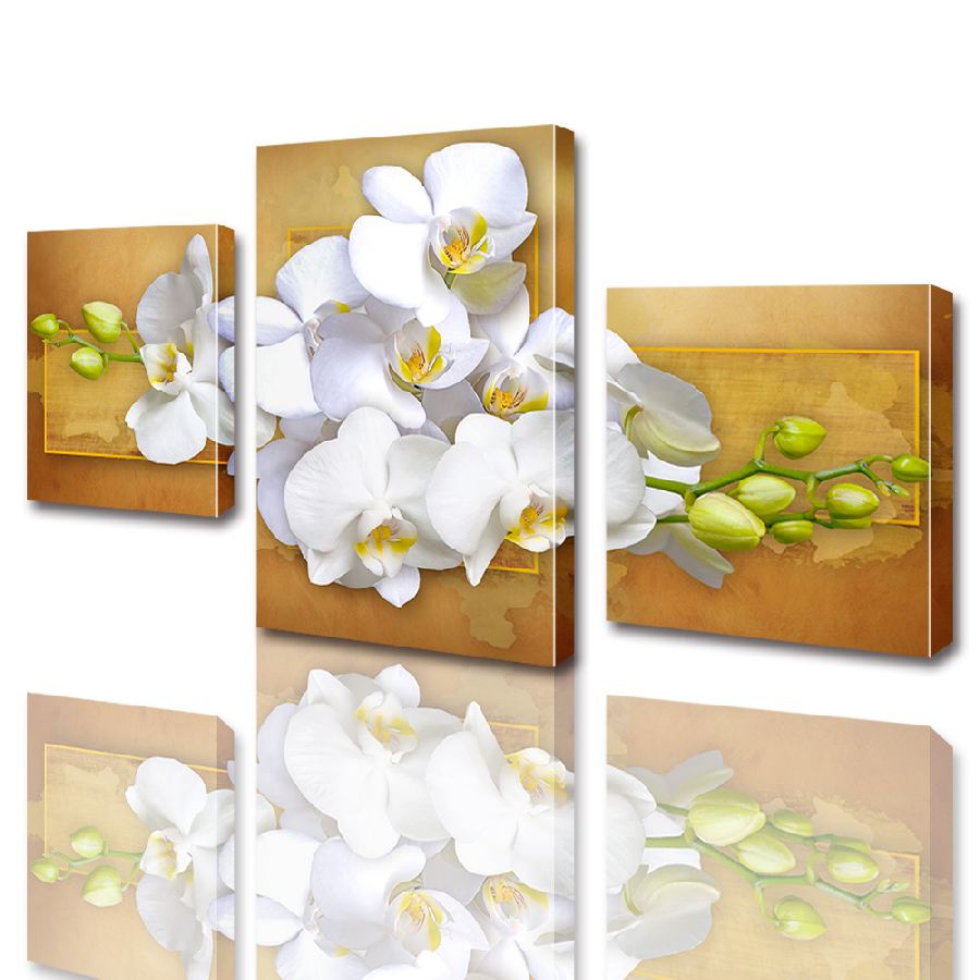 Модульна картина ArtStar квіти Біла Орхідея ADFL0008 розмір 45 х 70 см