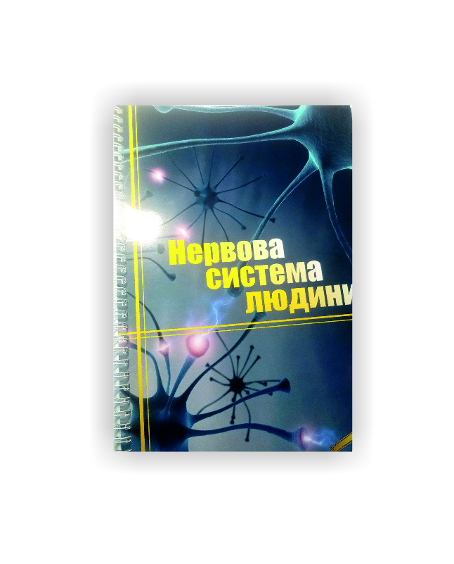 Методичний посібник Vivay Нервова система людини Формат А4 12 стор Різнокольоровий