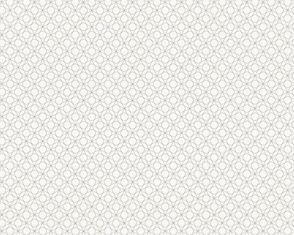 Вінілові шпалери на флізеліновій основі A.S.creation Bjorn Сіро-білий (35117-3)