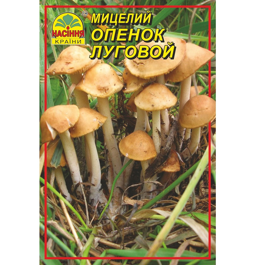 Міцелій грибів Насіння країни Опеньок луговий 10 г